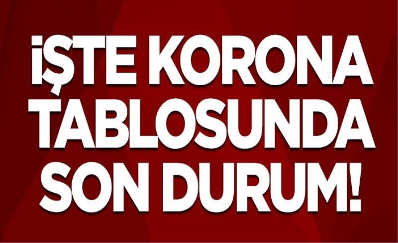 3 Haziran koronavirüs tablosu! Vaka, Hasta, ölü sayısı ve son durum açıklandı