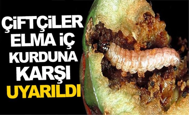 Çiftçiler, elma iç kurduna karşı uyarıldı