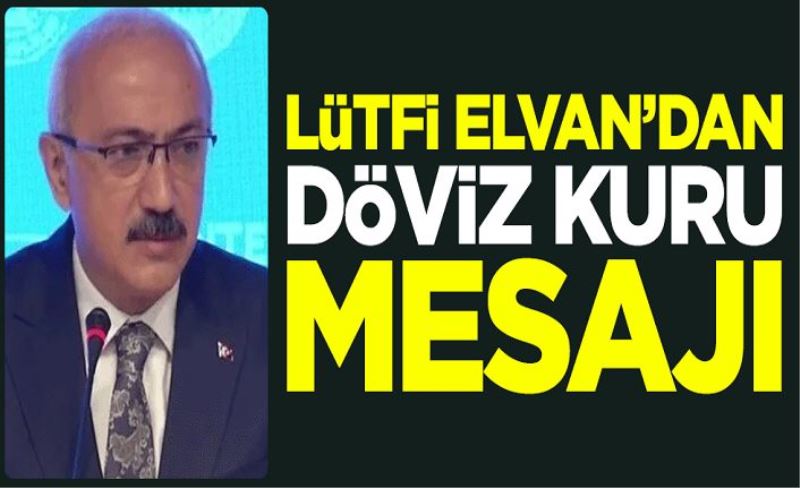 Hazine ve Maliye Bakanı Lütfi Elvan'dan döviz kuru mesajı