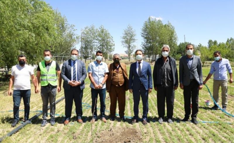 İpekyolu’ndaki çiftçilere ceviz fidanı dağıtıldı