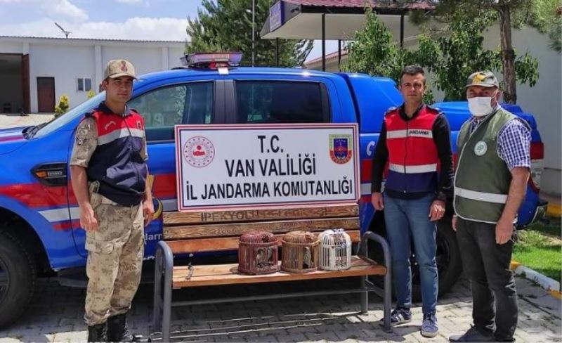 Kafes avcıları jandarmaya takıldı