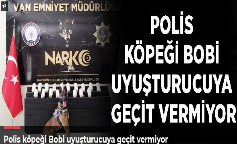 Polis köpeği Bobi uyuşturucuya geçit vermiyor