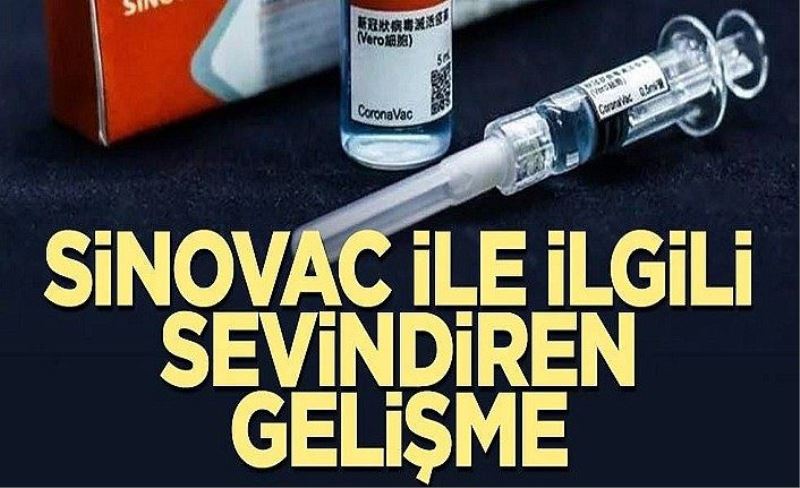 Sinovac ile ilgili sevindiren gelişme