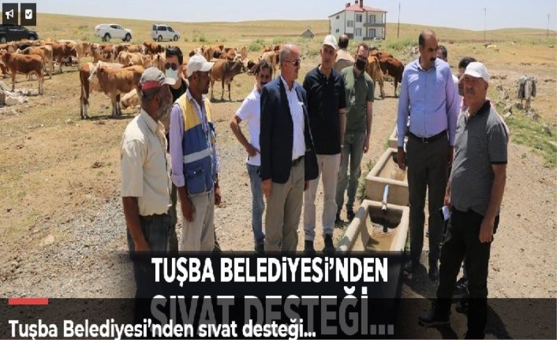 Tuşba Belediyesi’nden sıvat desteği…