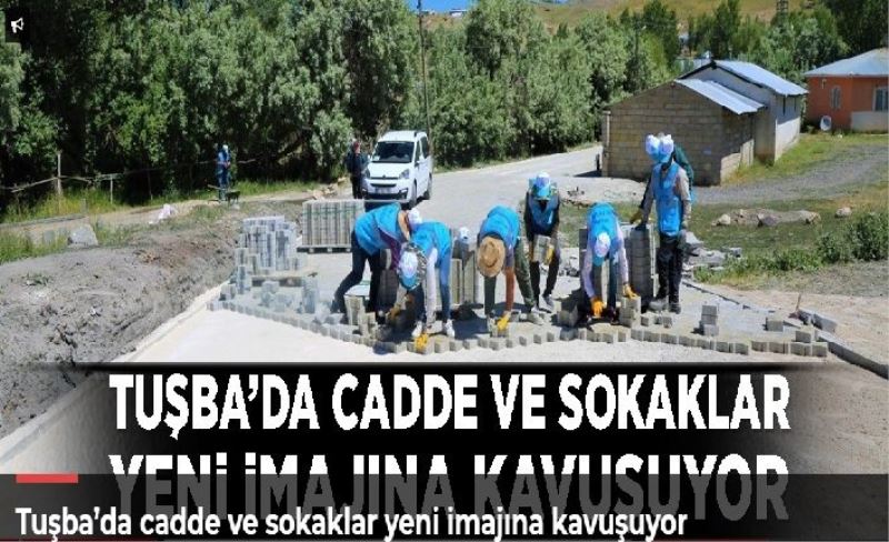 Tuşba’da cadde ve sokaklar yeni imajına kavuşuyor