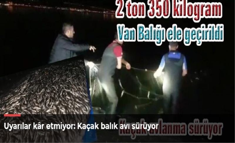 Uyarılar kâr etmiyor: Kaçak balık avı sürüyor