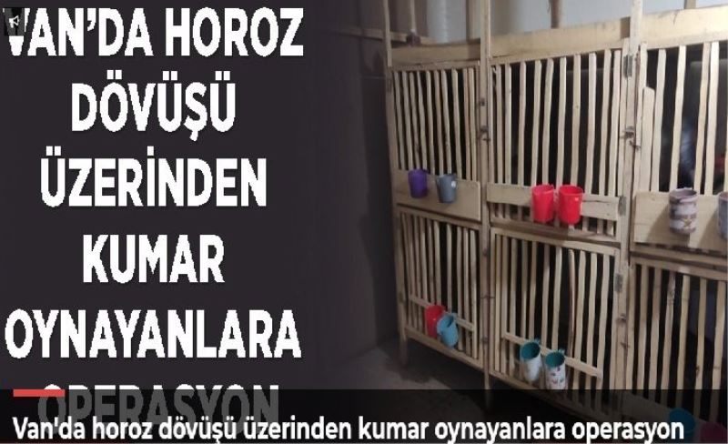 Van'da horoz dövüşü üzerinden kumar oynayanlara operasyon