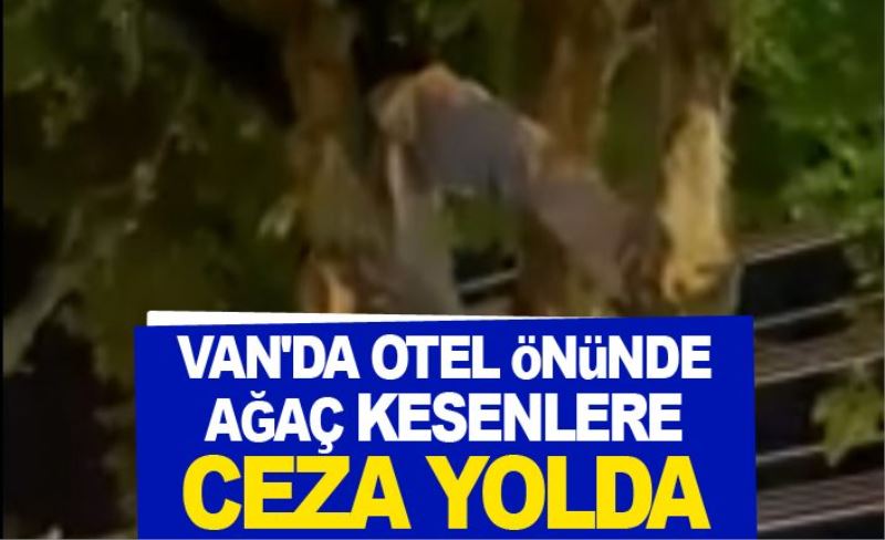 Van'da otel önünde ağaç kesenlere ceza yolda...