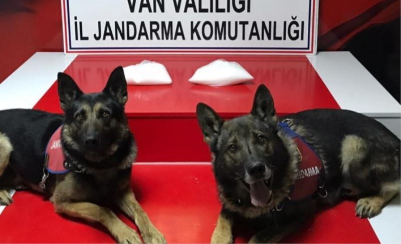 Van’da 2 kilo metamfetamin ele geçirildi