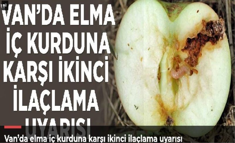 Van’da elma iç kurduna karşı ikinci ilaçlama uyarısı