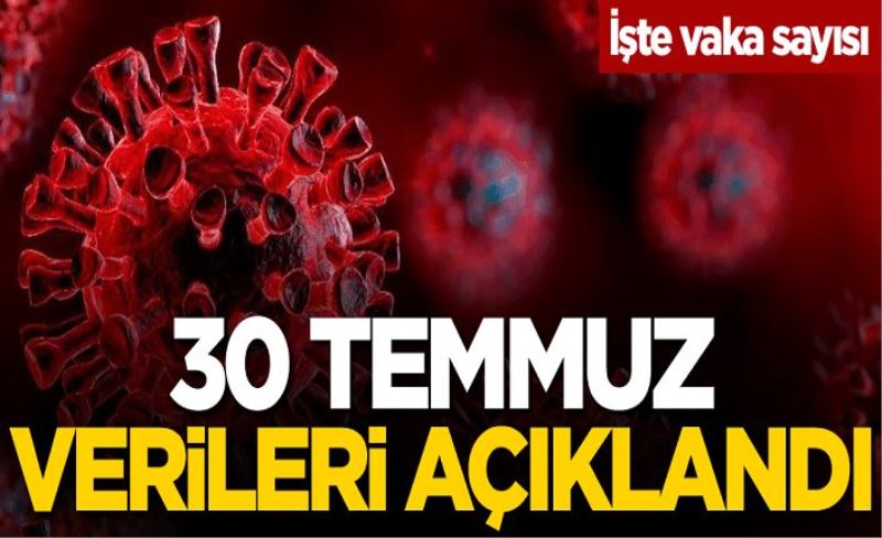 30 Temmuz koronavirüs tablosu açıklandı! Tehlikeyi seyir sürüyor