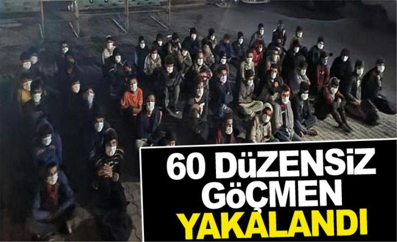 60 düzensiz göçmen yakalandı