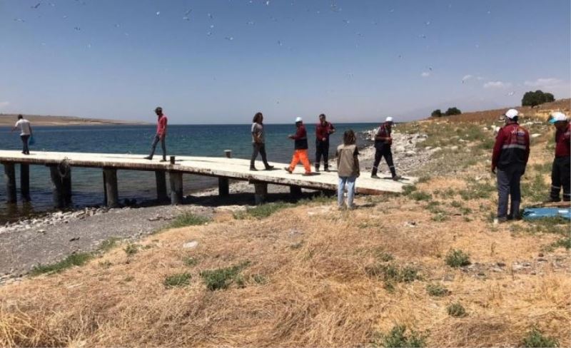 Adır Adası'ndaki ölü martılar toplatıldı