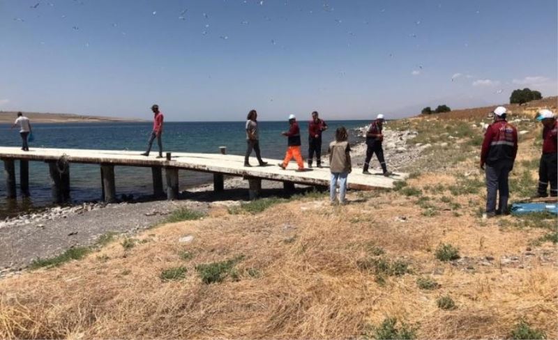 Adır Adası'ndaki ölü martılar toplatıldı