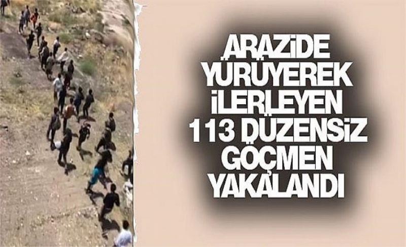 Arazide yürüyerek ilerleyen 113 düzensiz göçmen yakalandı