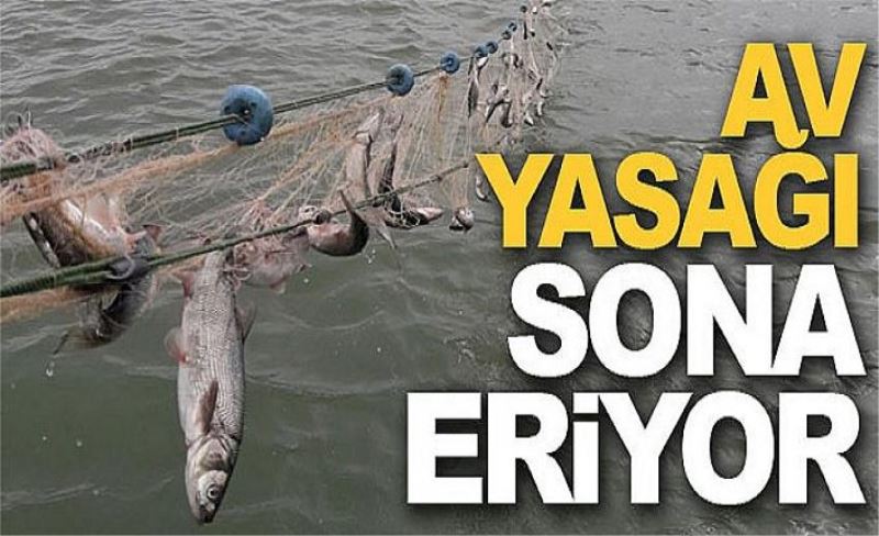 Av yasağı sona eriyor