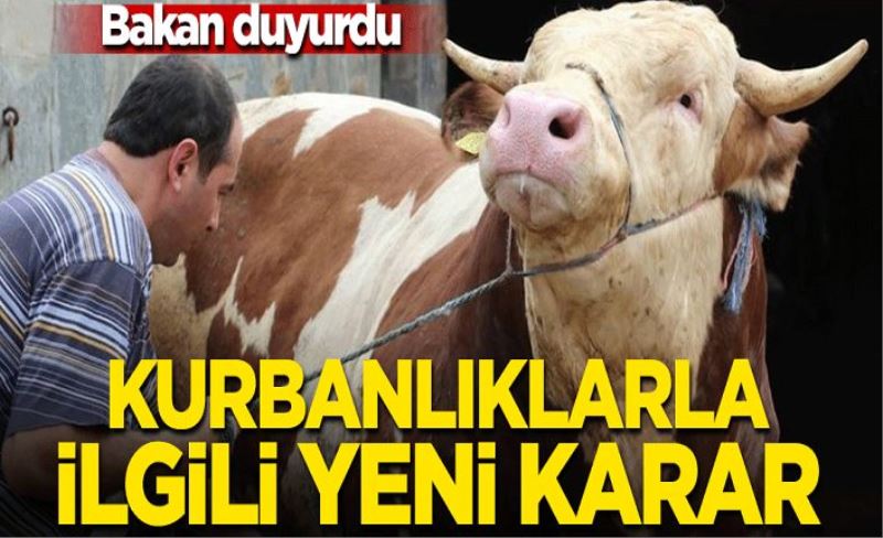 Bakan Pakdemirli açıkladı! Satılamayan kurbanlıkları Et ve Süt Kurumu alacak