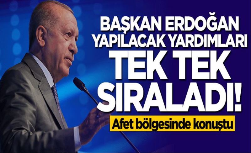 Başkan Erdoğan yangın bölgesinde konuştu: Her türlü zararı karşılayacağız