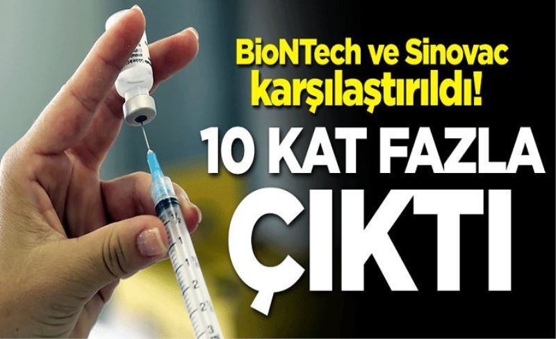 BioNTech ve Sinovac karşılaştırıldı! 10 kat daha fazla çıktı