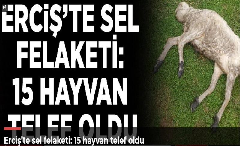 Erciş’te sel felaketi: 15 hayvan telef oldu