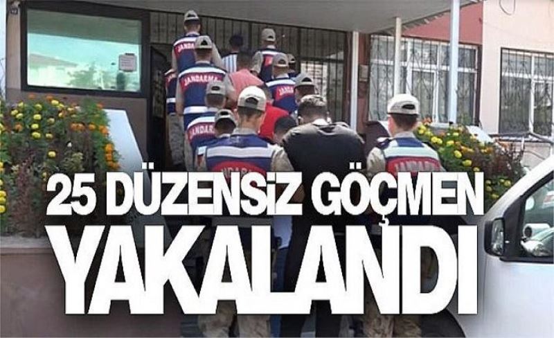 Muradiye'de 25 düzensiz göçmen yakalandı