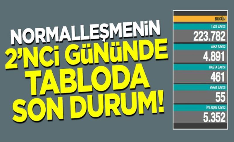 Normalleşmenin 2'nci gününde koronavirüs tablosunda son durum