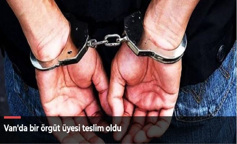 Van'da bir örgüt üyesi teslim oldu