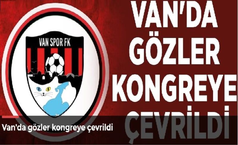 Van'da gözler kongreye çevrildi