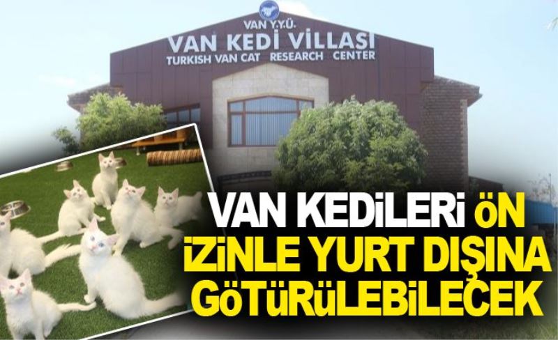 Van kedileri, ön izinle yurt dışına götürülebilecek