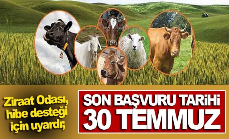 Ziraat Odası, hibe desteği için uyardı; Son başvuru tarihi 30 Temmuz