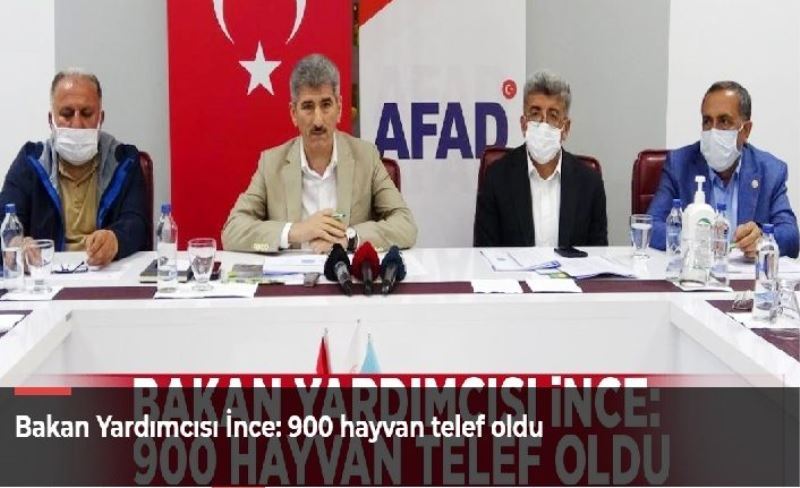 Bakan Yardımcısı İnce: 900 hayvan telef oldu