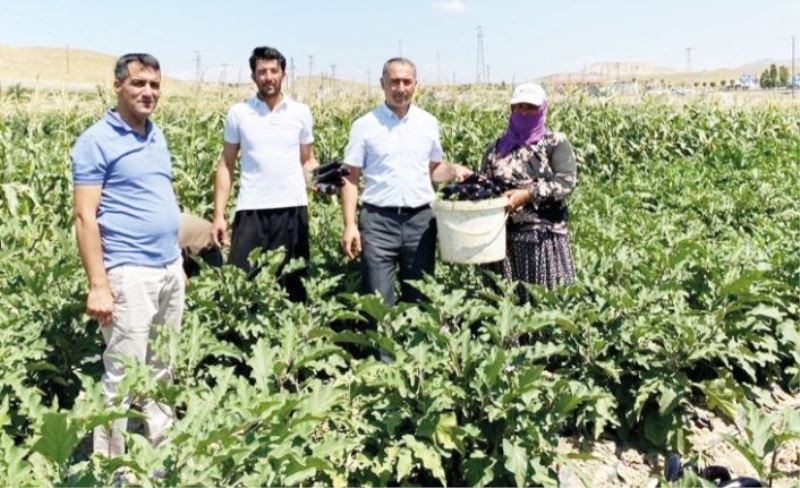 Çiftçiler hasat konusunda bilgilendirildi