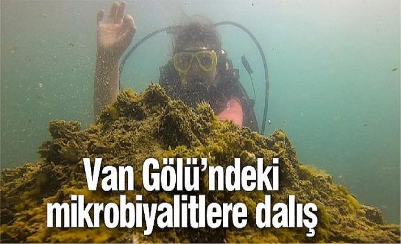 ‘Dalış Okulu’nda eğitim gören kursiyerler, Van Gölü’ndeki mikrobiyalitlere dalış yaptı