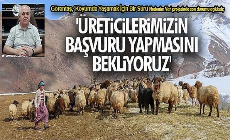 Görentaş, 'Köyümde Yaşamak İçin Bir Sürü Nedenim Var' projesinde son durumu açıkladı; 'Üreticilerimizin başvuru yapmasını bekliyoruz'