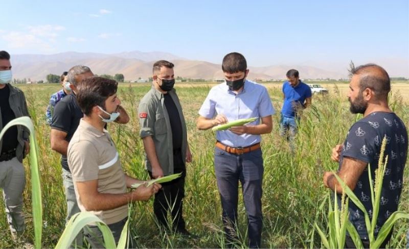 Kaymakam Kayabaşı'ndan çiftçilere ziyaret