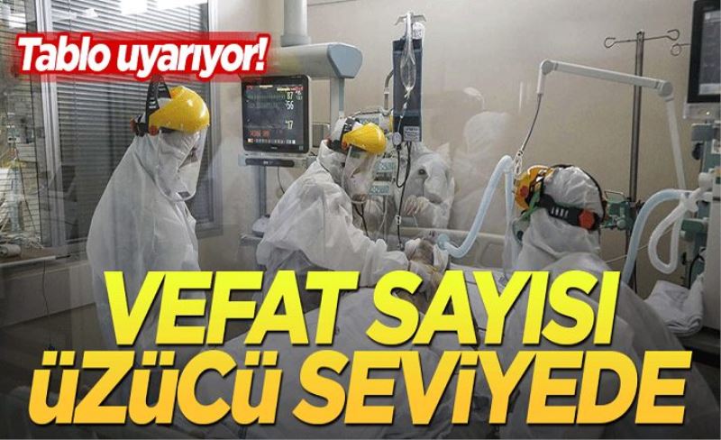 Koronavirüs verileri açıklandı! Ölüm sayısı üzücü seviyede