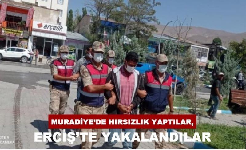 Muradiye’de hırsızlık yaptılar, Erciş’te yakalandılar