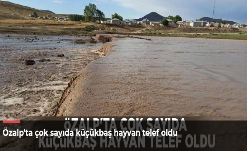 Özalp'ta çok sayıda küçükbaş hayvan telef oldu