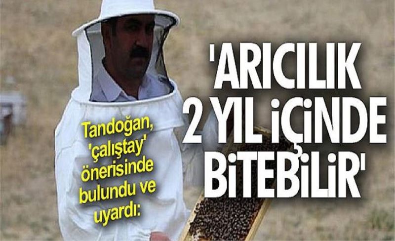 Tandoğan: 'Arıcılık 2 yıl içinde bitebilir'