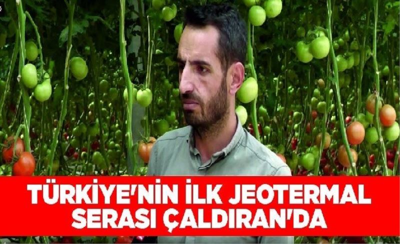 Türkiye’nin ilk jeotermal serası Çaldıran’da