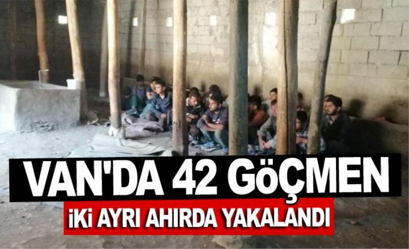 Van'da 42 göçmen iki ayrı ahırda yakalandı