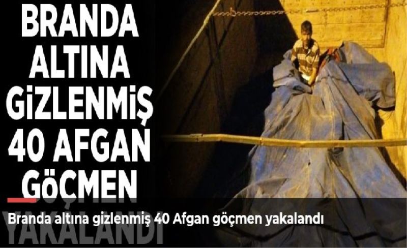 Branda altına gizlenmiş 40 Afgan göçmen yakalandı