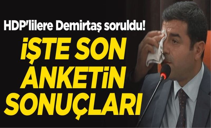 HDP'lilere Selahattin Demirtaş soruldu! İşte son anketin sonuçları