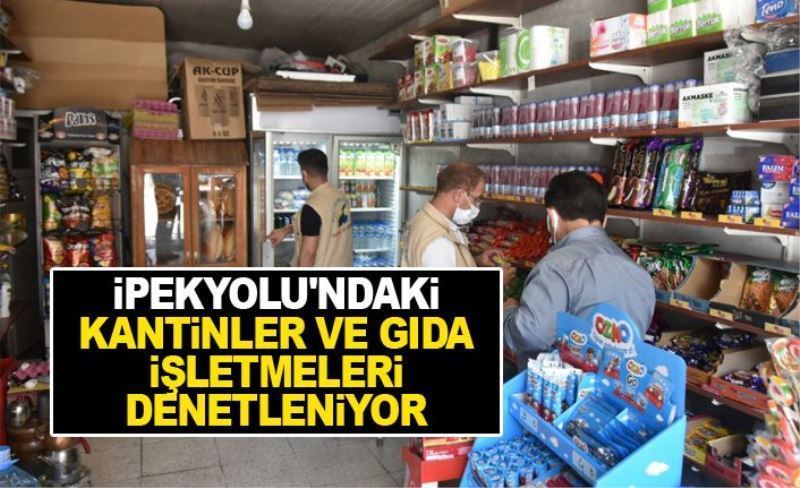 İpekyolu'ndaki kantinler ve gıda işletmeleri denetleniyor