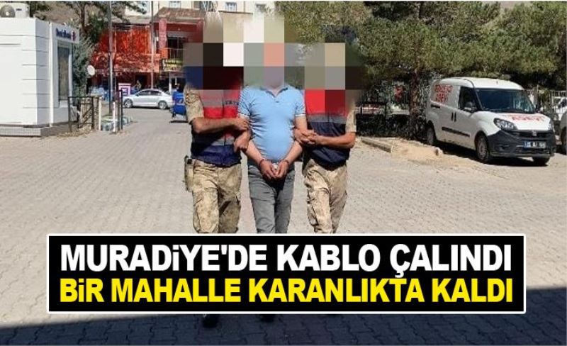 Muradiye'de kablo çalındı, bir mahalle karanlıkta kaldı