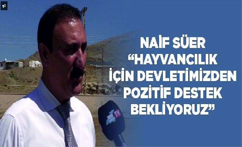 Naif Süer, “Hayvancılık için devletimizden pozitif destek bekliyoruz”