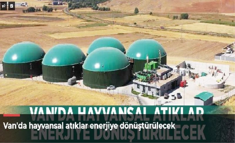 Van'da hayvansal atıklar enerjiye dönüştürülecek