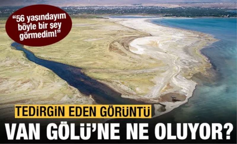 Van Gölü'nde tedirgin eden görüntü!