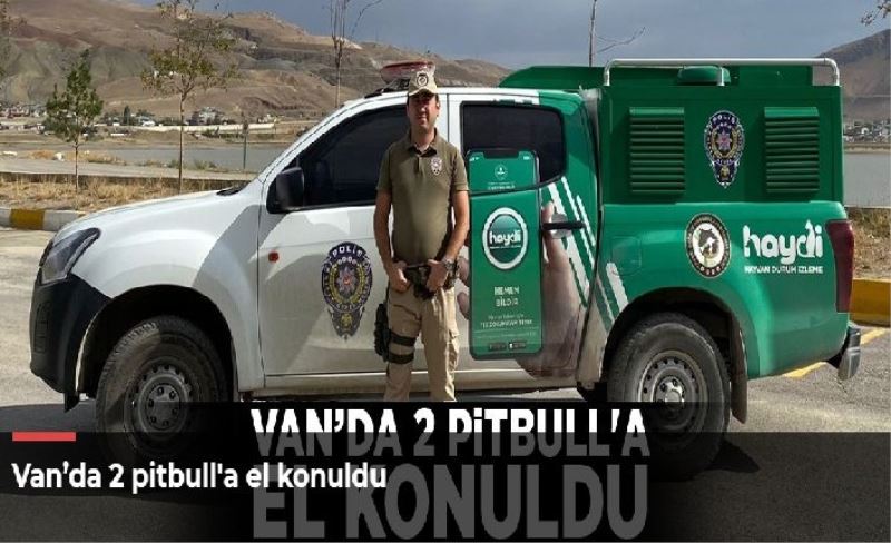 Van’da 2 pitbull'a el konuldu