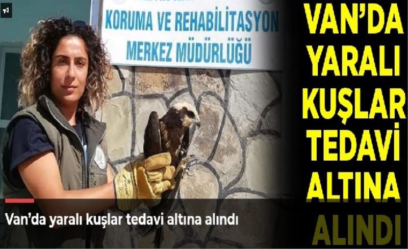 Van’da yaralı kuşlar tedavi altına alındı